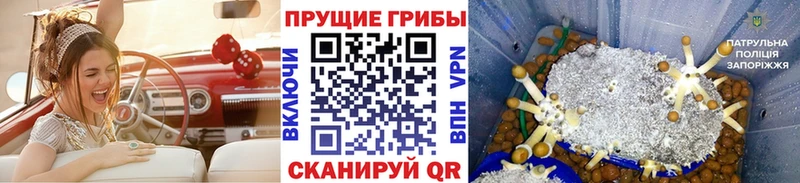 Галлюциногенные грибы мицелий  Прохладный 