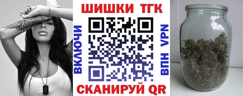 закладка  мега tor  даркнет клад  Прохладный  Каннабис индика 